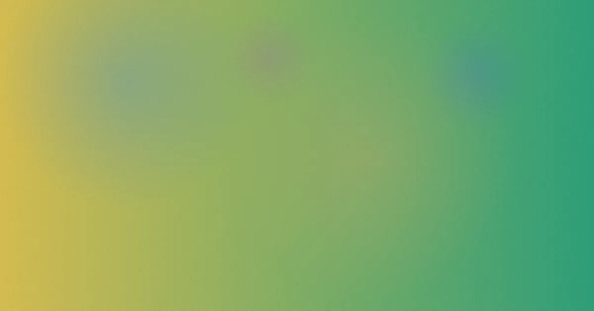 蝎子莱莱测评：新手避坑流程